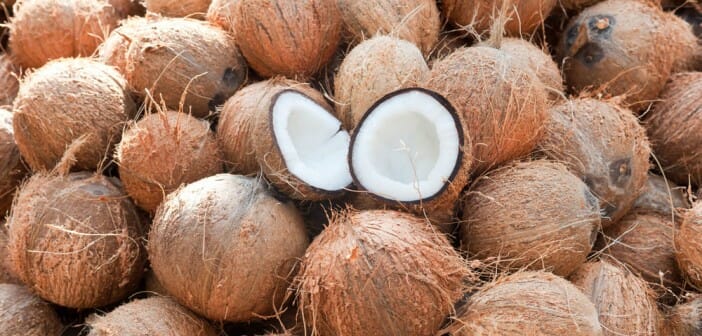 Retour affectif de l’etre aimé avec noix de coco